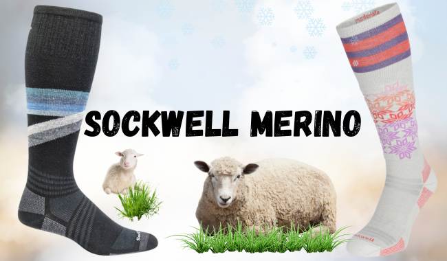 Sockwell Merino Stützstrümpfe